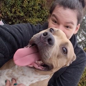 Meet your Posher, Darissa